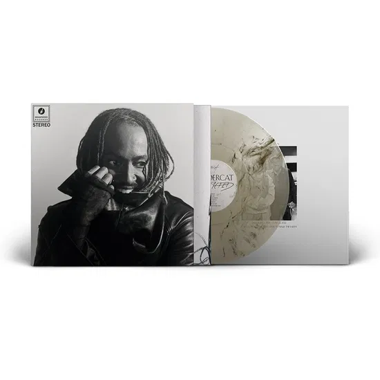 THUNDERCAT - Distracted Vinyl