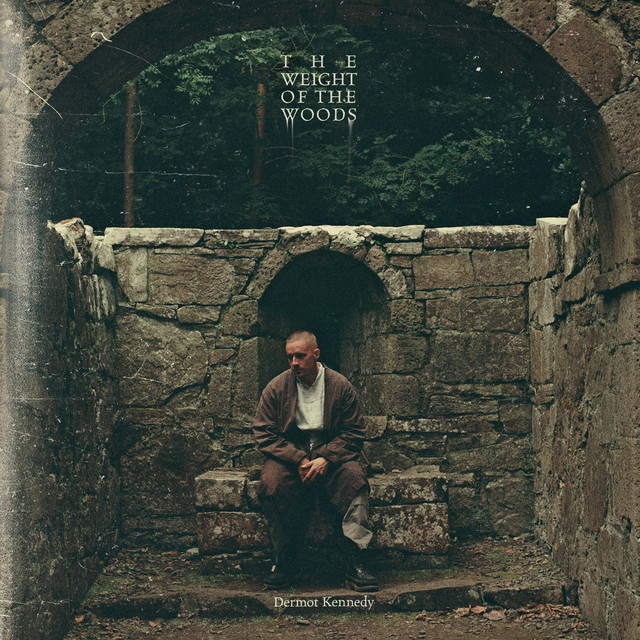 DERMOT KENNEDY - The Weight of the Woods Deluxe Edition Vinyl