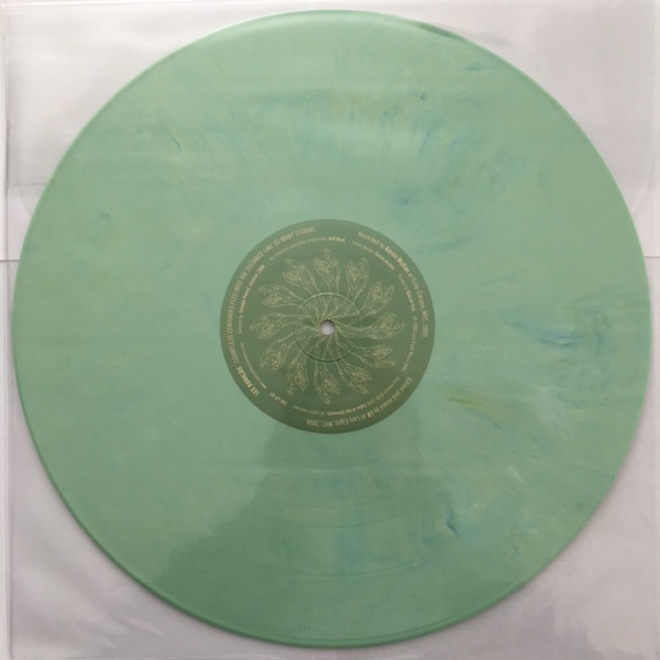 LEE RANALDO - Countless Centuries Fled Into The Distance Like So Many Storms (VG+/GEN) Vinyl
