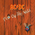 Fly on The Wall