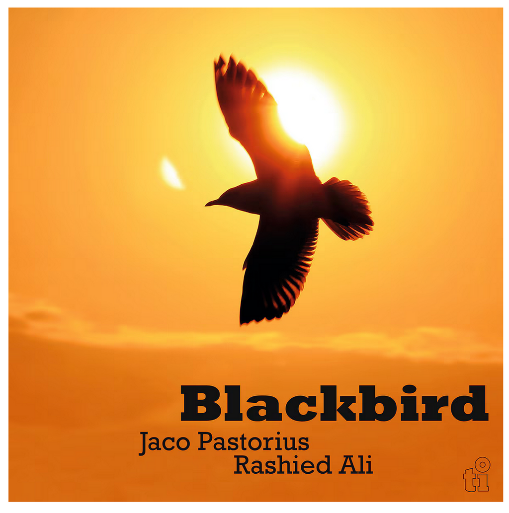 Jaco Pastorius & Rashied Ali - (PRESALE 7/24/26) Blackbird (MOV 180G 50TH ANN LMTD TRANSLUCENT GREEN VINYL) | Mint (M) Mint (M)