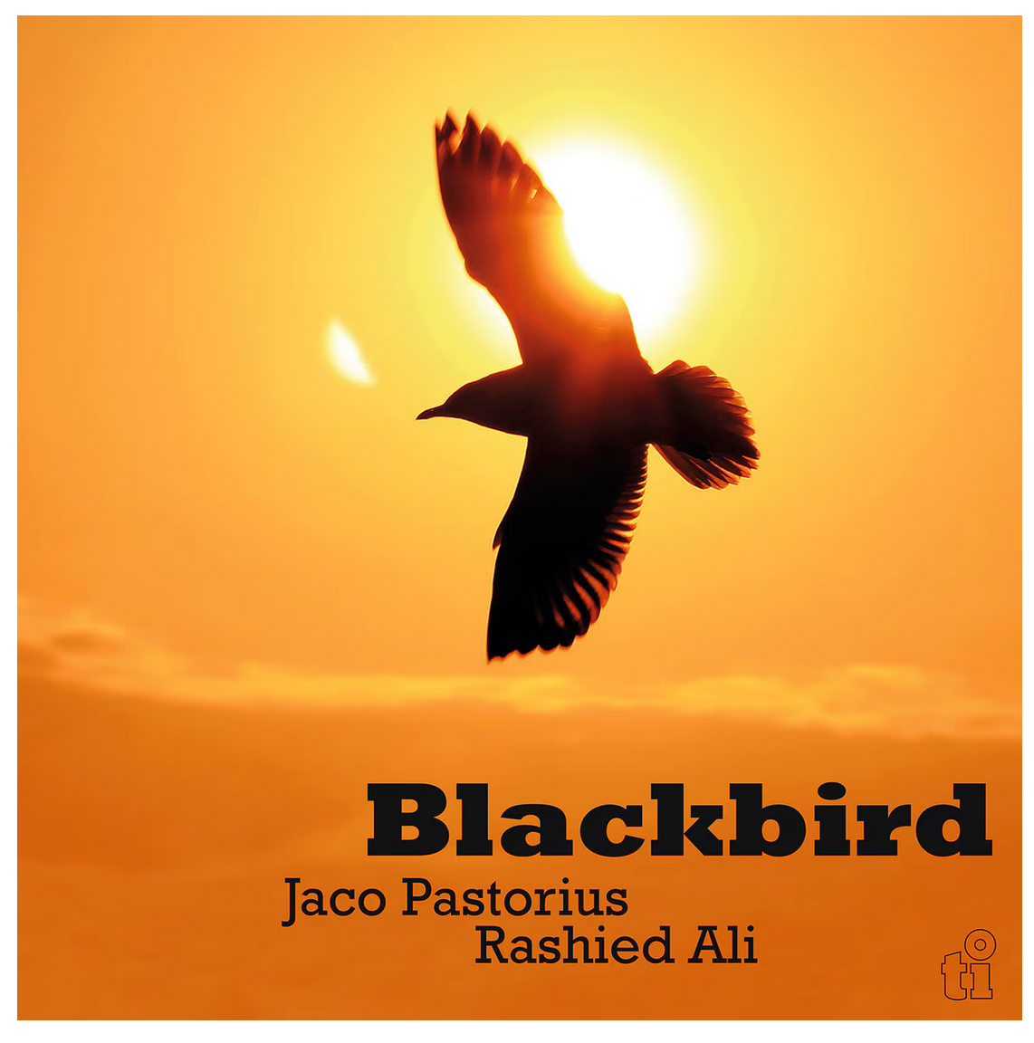 Jaco Pastorius & Rashied Ali - (PRESALE 7/24/26) Blackbird (MOV 180G 50TH ANN LMTD TRANSLUCENT GREEN VINYL) | Mint (M) Mint (M)