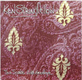 Ken Stringfellow – This Sounds Like Goodbye - USED CD