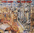 USED CD - Steve Kilbey – The Slow Crack