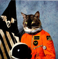 Klaxons – Surfing The Void - USED CD