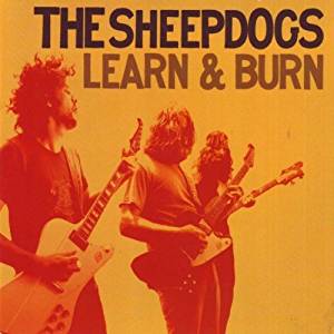 LP - Sheepdogs - Learn & Burn