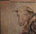 Terry Allen & The Panhandle Mystery Band – Bloodlines - USED CD