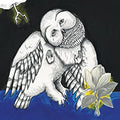 2LP - Songs: Ohia - Magnolia Electric Co.