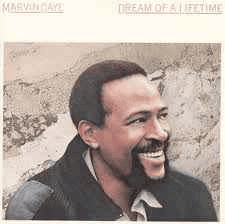 MARVIN GAYE - Dream Of A Lifetime Vinyl