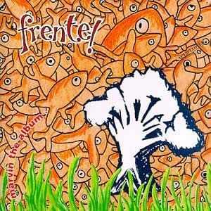 USED CD - Frente! - Marvin The Album