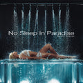 Naomi Sharon - (PRESALE 8/21/26) No Sleep In Paradise (LMTD POSTER CLEAR VINYL 2xLP SANTA ANNA / OVO 2026) | NEW