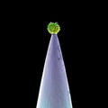 USED CD - Peter Gabriel – New Blood