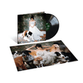 NORAH JONES - The Fall Vinyl