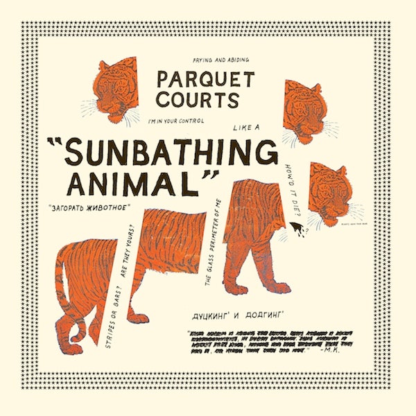 Sunbathing Animal