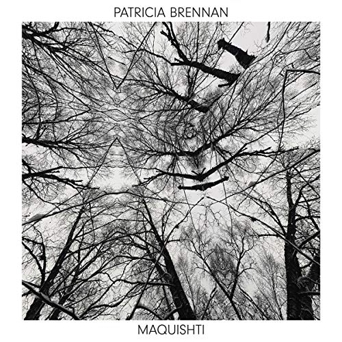 Patricia Brennan - Maquishti (YELLOW VINYL LP Valley of Search VALY31497.1) | NEW