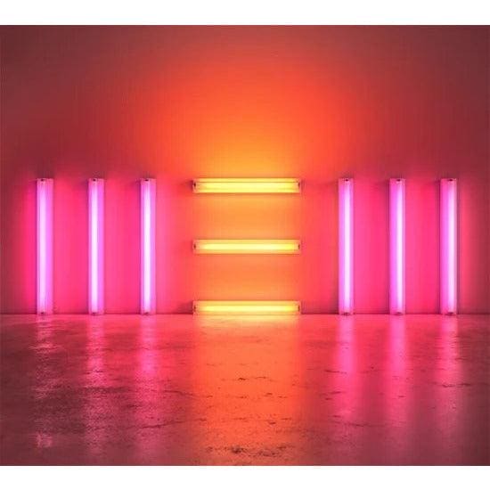 PAUL MCCARTNEY - New Vinyl