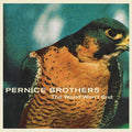 USED CD - Pernice Brothers – The World Won't End