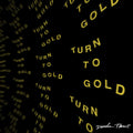 Diarrhea Planet – Turn To Gold - USED CD