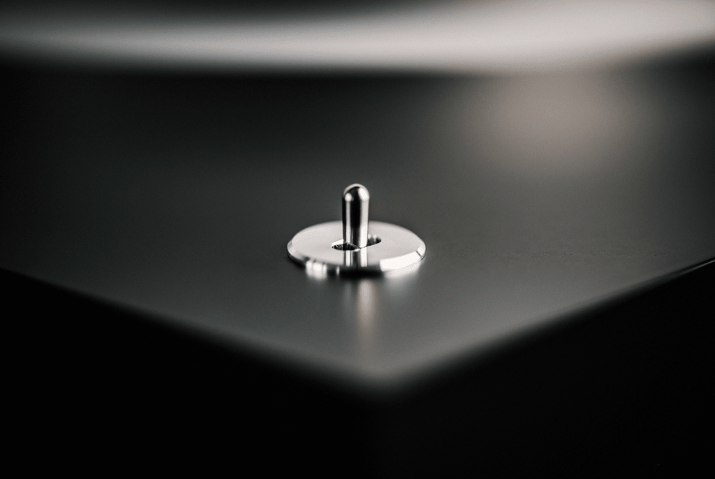 ProJect Debut Reference 10 Turntable with Pick it PRO B Cartridge