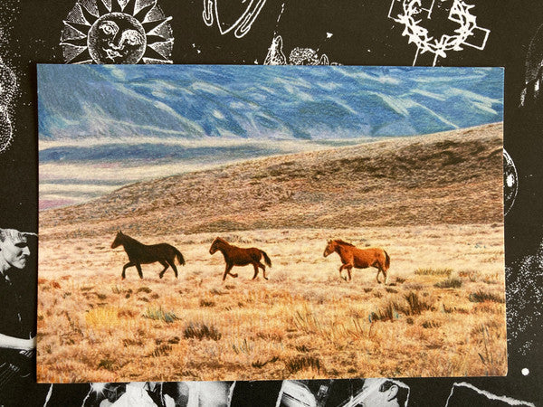 Fiddlehead (2) - Springtime And Blind (CLEAR PINK VINYL) | Mint (M) Mint (M)