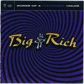 USED CD - Big & Rich – Horse Of A Different Color