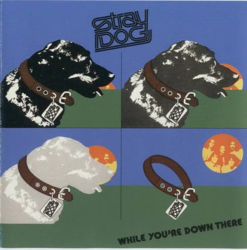 USED CD - Stray Dog – While You're Down There