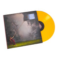 2LP - Raye - This Music May Contain Hope
