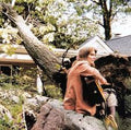 Terre Roche – The Sound Of A Tree Falling - USED CD