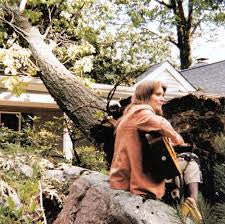 Terre Roche – The Sound Of A Tree Falling - USED CD