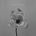 The Naked And Famous - In Rolling Waves -USED CD