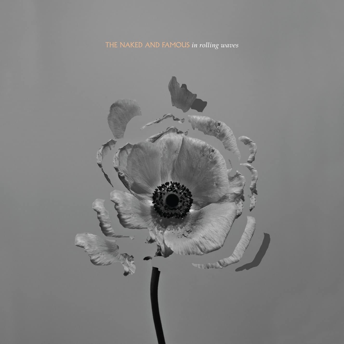 The Naked And Famous - In Rolling Waves -USED CD
