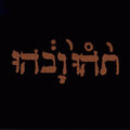 LP - Godspeed You Black Emperor! - Slow Riot for New Zero Kanada