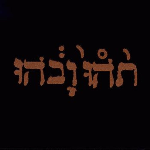 LP - Godspeed You Black Emperor! - Slow Riot for New Zero Kanada