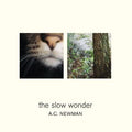 USED CD - A.C. Newman – The Slow Wonder