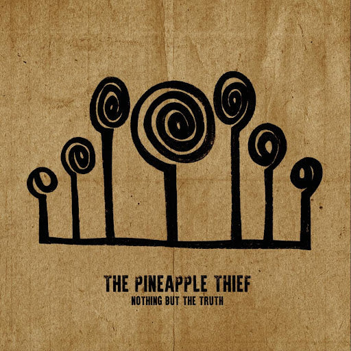 2LP - Pineapple Thief - Nothing But The Truth