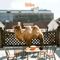 USED CD - Wilco – Wilco (The Album)