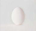 USED CD - Wilco – A Ghost Is Born