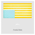 Rostam - American Stories (SUMAC VINYL) | Mint (M) Mint (M)